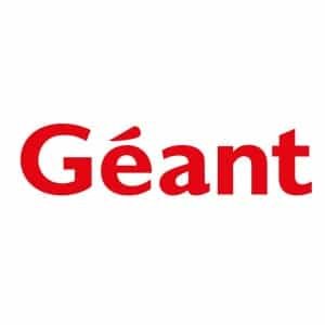 Geant logo
